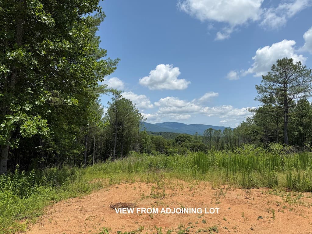 Lot E9 Reece Mountain Road, Ellijay GA 30536 - Photo