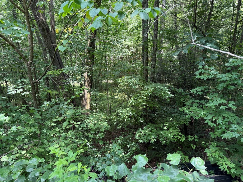 Lot E9 Reece Mountain Road, Ellijay GA 30536 - Photo