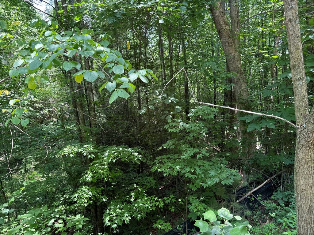 Lot E9 Reece Mountain Road, Ellijay GA 30536 - Photo