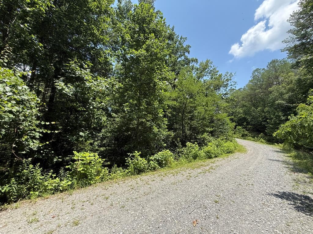 Lot E9 Reece Mountain Road, Ellijay GA 30536 - Primary photo