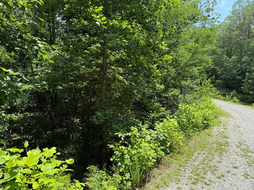 Lot E9 Reece Mountain Road, Ellijay GA 30536 - Photo