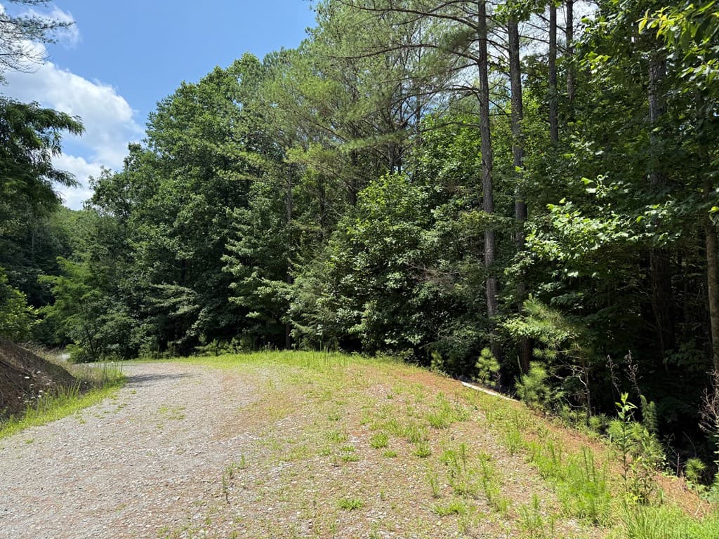 Lot E9 Reece Mountain Road, Ellijay GA 30536 - Photo