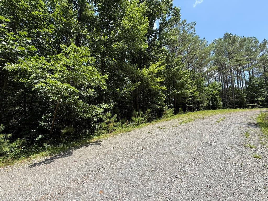 Lot E9 Reece Mountain Road, Ellijay GA 30536 - Photo