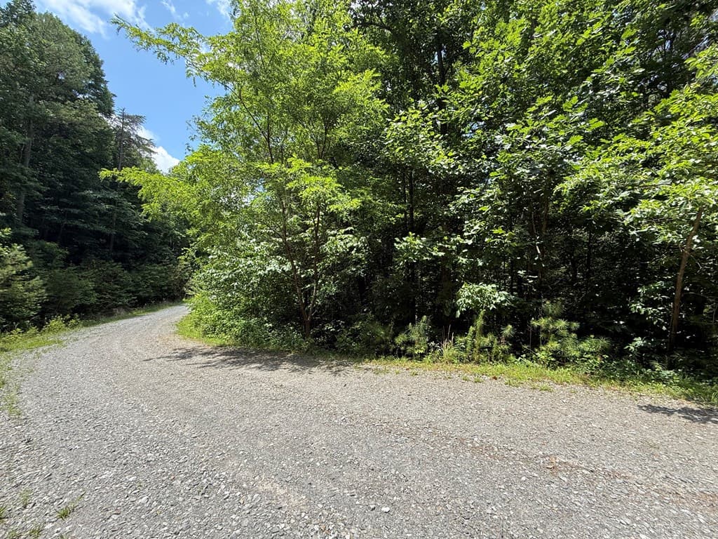 Lot E9 Reece Mountain Road, Ellijay GA 30536 - Photo