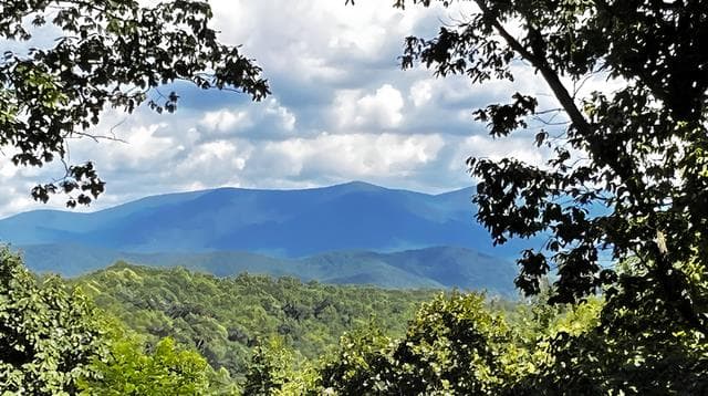 157 Misty Mountain Lane, Cherry Log GA 30522 - Photo