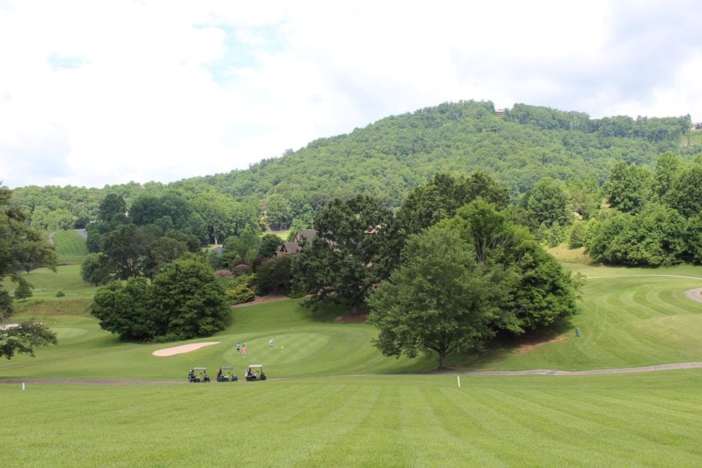 Lot 133A Mountain Harbour Drive, Hayesville NC 28904 - Primary photo