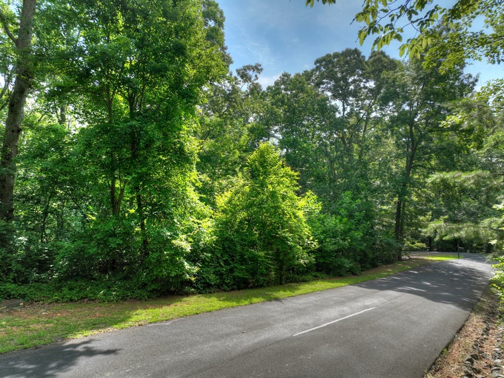 Lt 61 North Harris Creek Dr, Ellijay GA 30540 - Photo