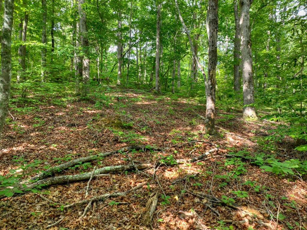 Lt 61 North Harris Creek Dr, Ellijay GA 30540 - Photo