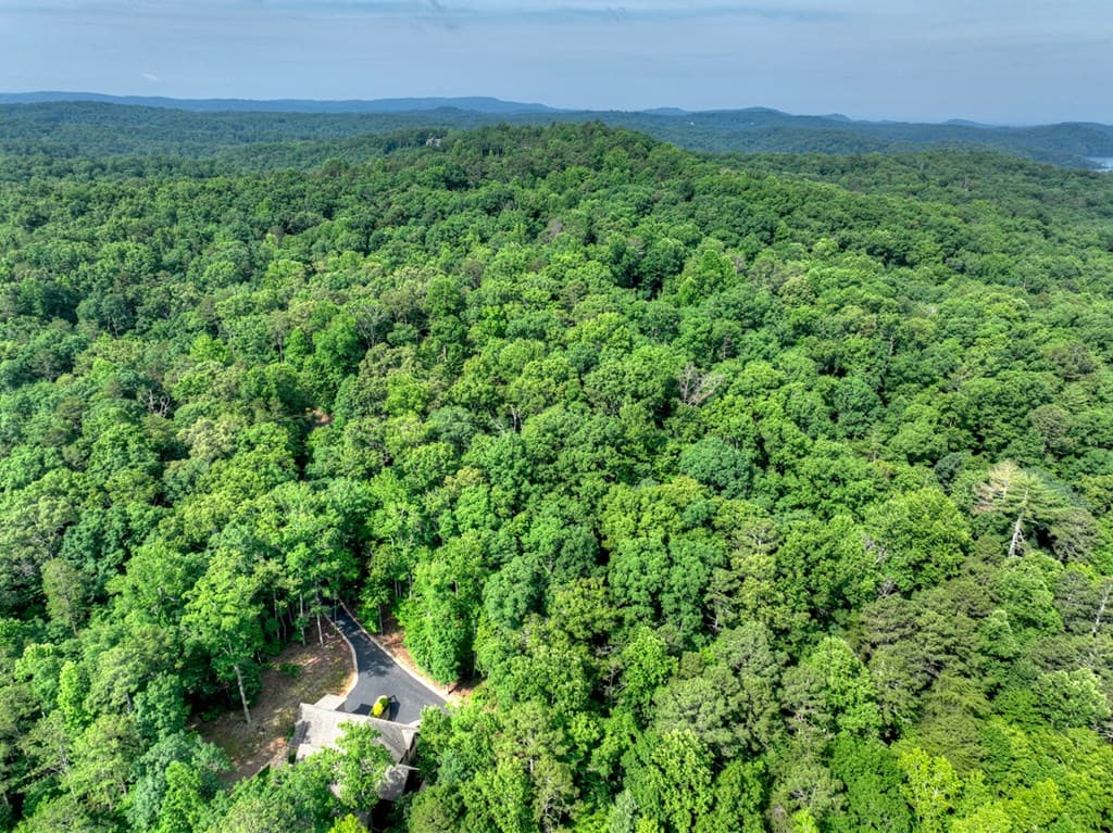 Lt 61 North Harris Creek Dr, Ellijay GA 30540 - Photo
