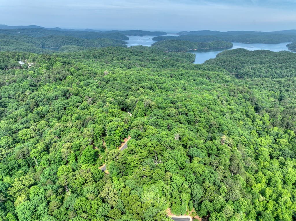 Lt 61 North Harris Creek Dr, Ellijay GA 30540 - Photo