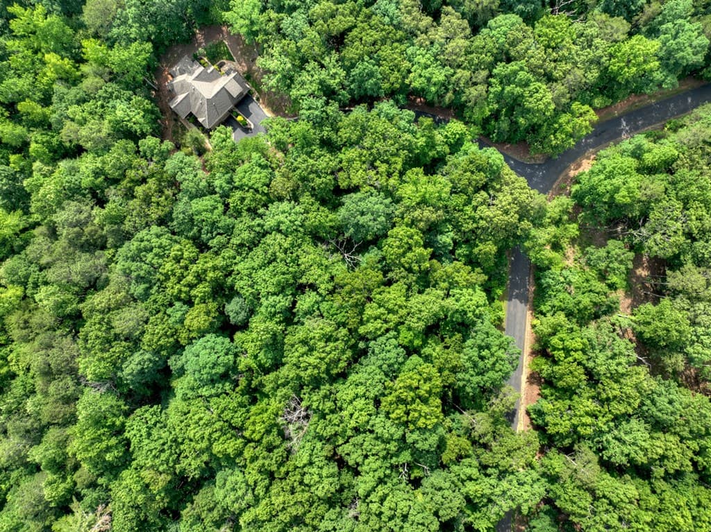 Lt 61 North Harris Creek Dr, Ellijay GA 30540 - Photo