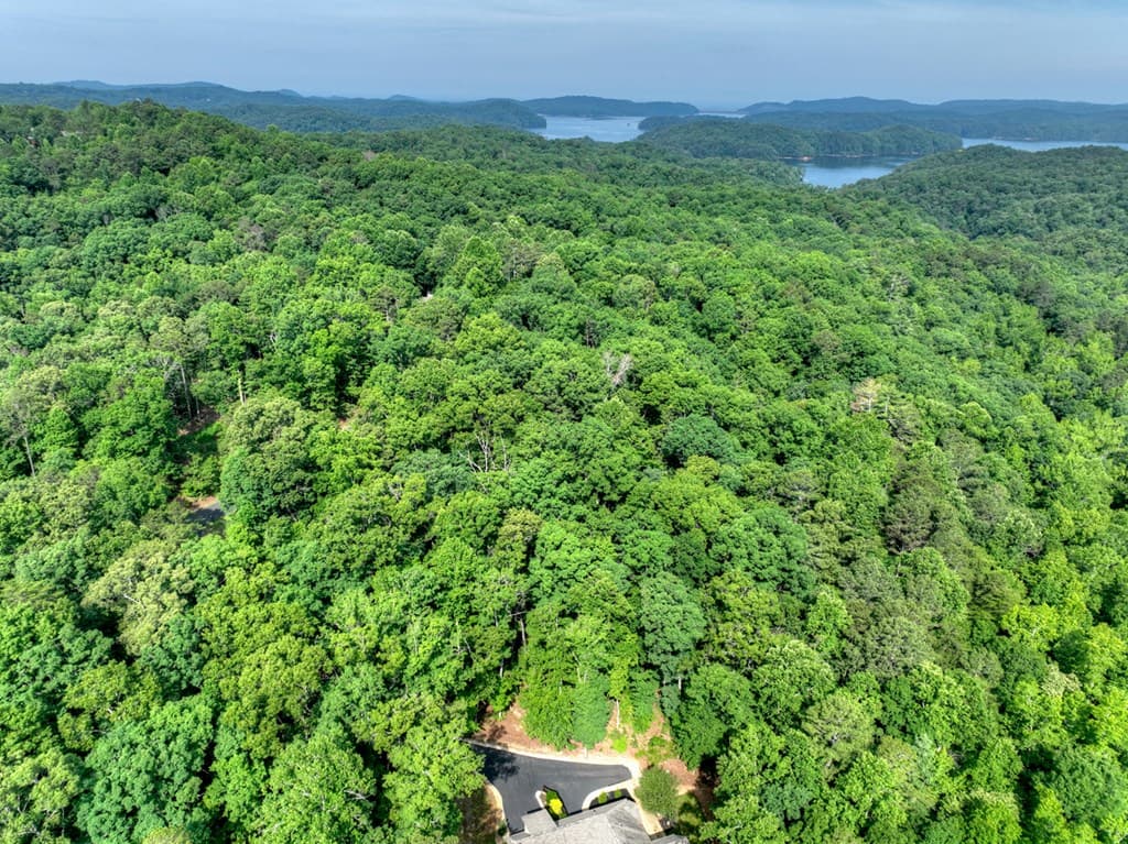 Lt 61 North Harris Creek Dr, Ellijay GA 30540 - Photo