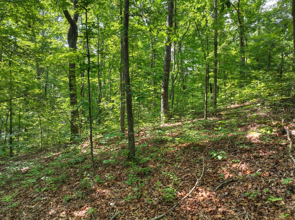 Lt 61 North Harris Creek Dr, Ellijay GA 30540 - Photo