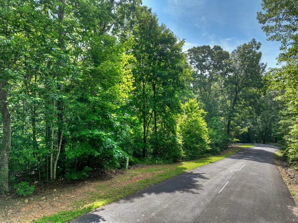 Lt 61 North Harris Creek Dr, Ellijay GA 30540 - Photo