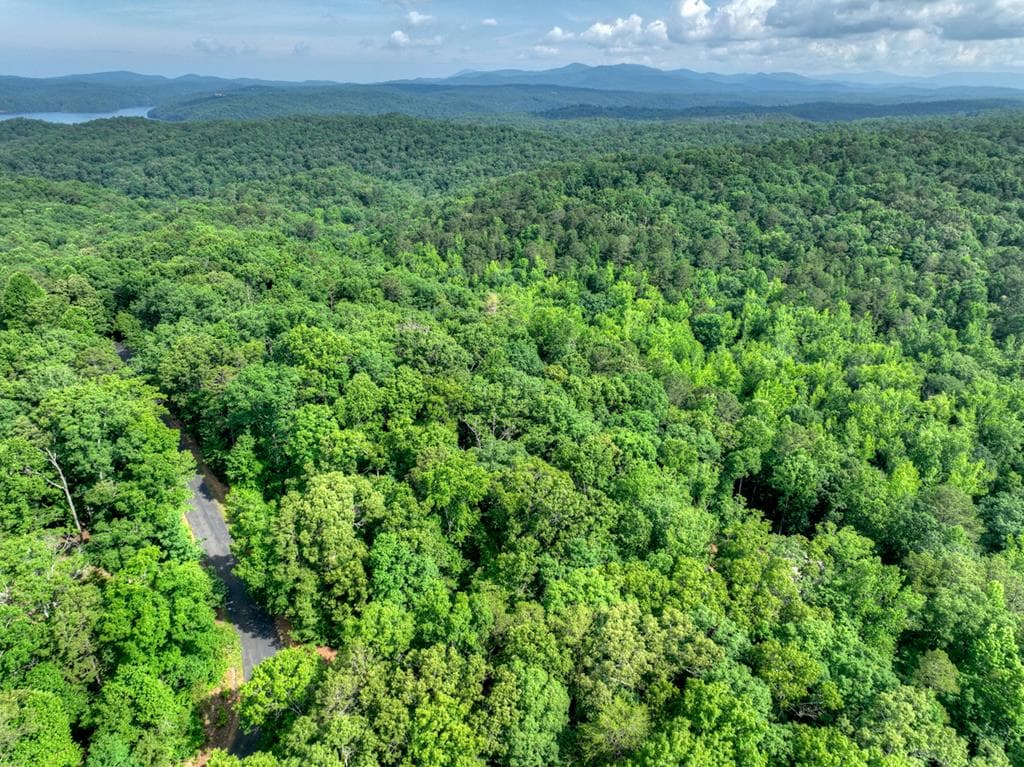 Lt 61 North Harris Creek Dr, Ellijay GA 30540 - Primary photo