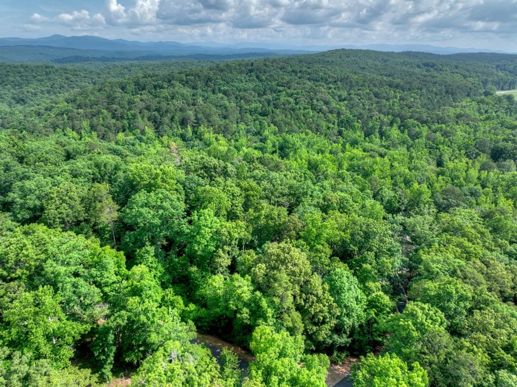 Lt 61 North Harris Creek Dr, Ellijay GA 30540 - Photo