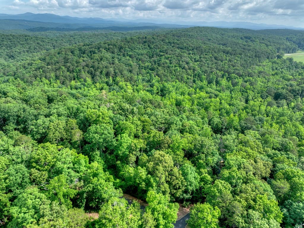 Lt 61 North Harris Creek Dr, Ellijay GA 30540 - Photo