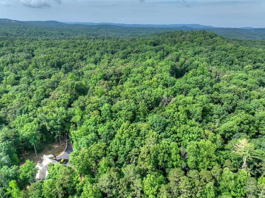 Lt 61 North Harris Creek Dr, Ellijay GA 30540 - Photo