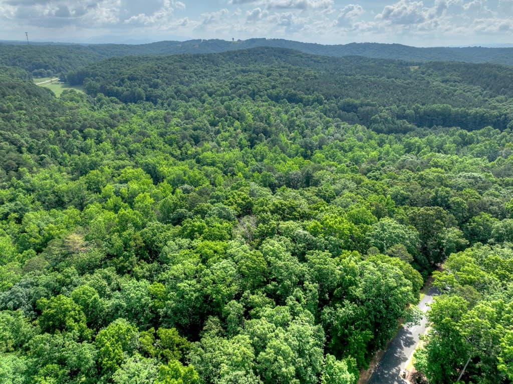 Lt 61 North Harris Creek Dr, Ellijay GA 30540 - Photo