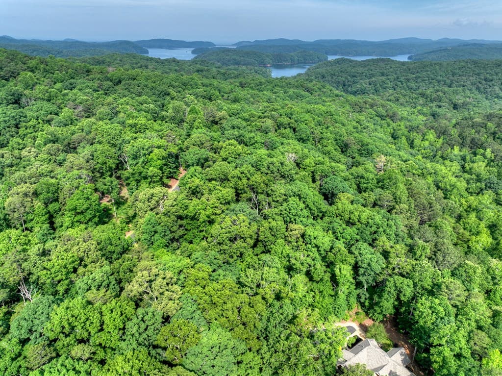 Lt 61 North Harris Creek Dr, Ellijay GA 30540 - Photo