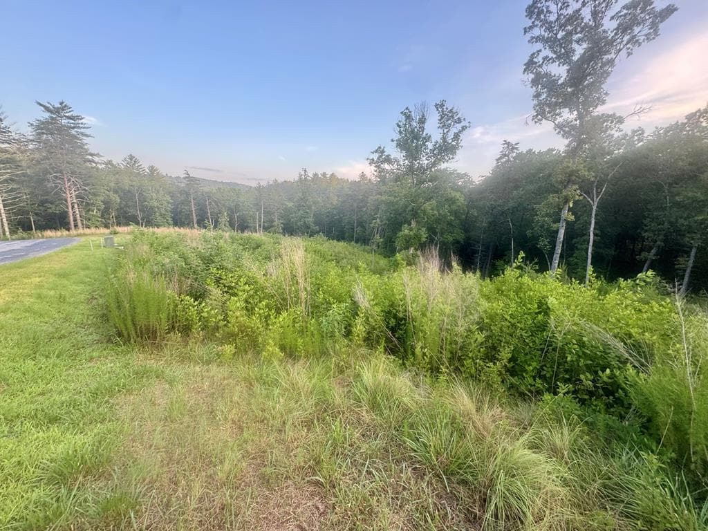 LT12 Mountain Laurel Ridge, Mineral Bluff GA 30559 - Photo