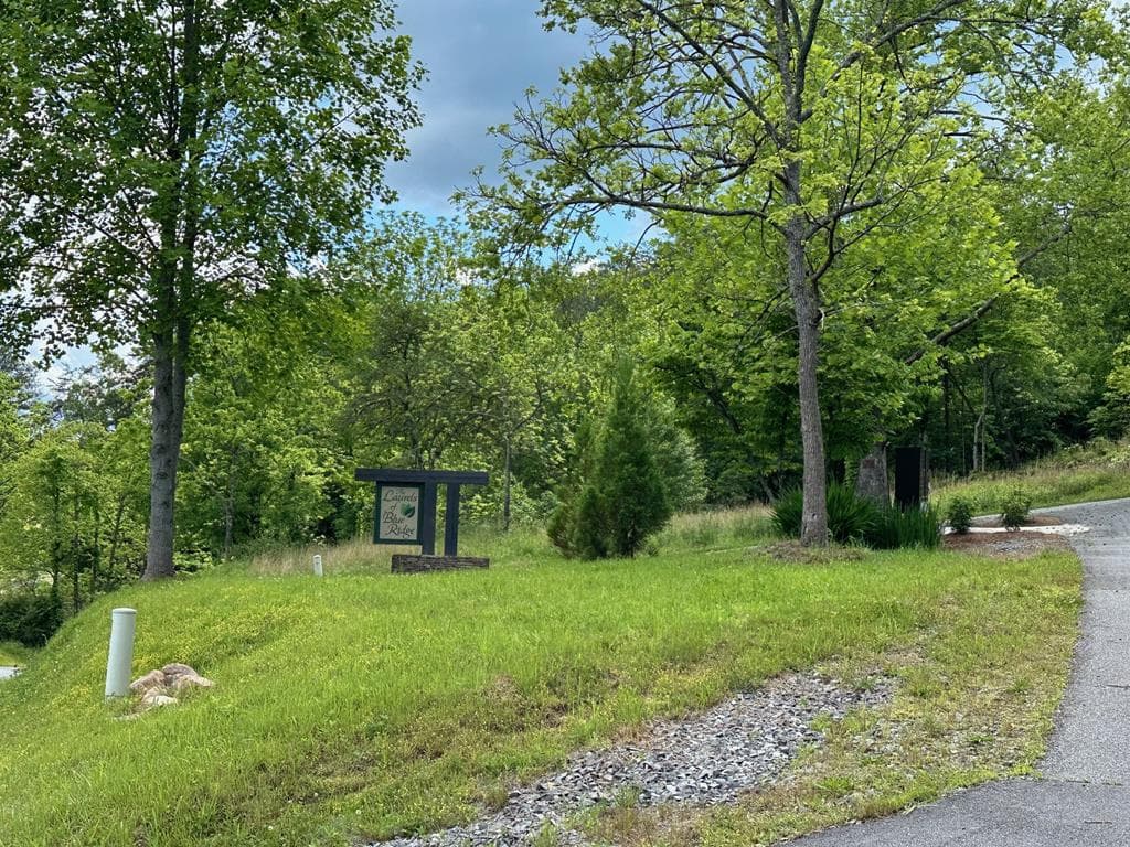 LT12 Mountain Laurel Ridge, Mineral Bluff GA 30559 - Photo