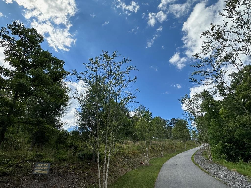 LT12 Mountain Laurel Ridge, Mineral Bluff GA 30559 - Photo