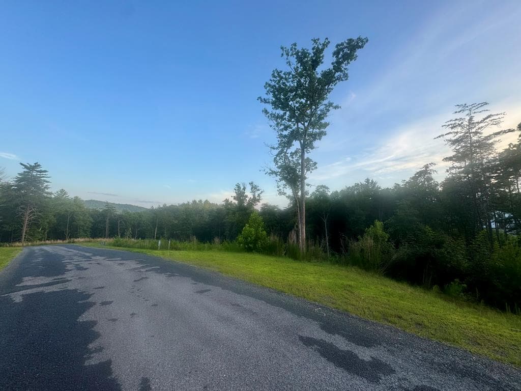 LT12 Mountain Laurel Ridge, Mineral Bluff GA 30559 - Photo
