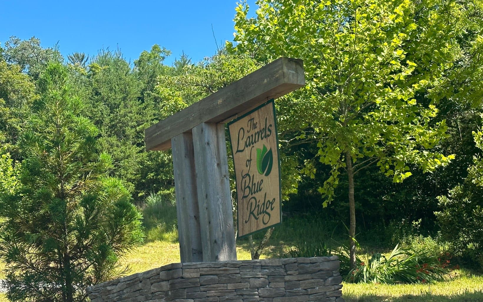 LT12 Mountain Laurel Ridge, Mineral Bluff GA 30559 - Photo