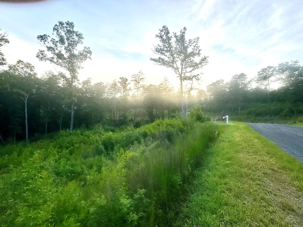 LT12 Mountain Laurel Ridge, Mineral Bluff GA 30559 - Photo
