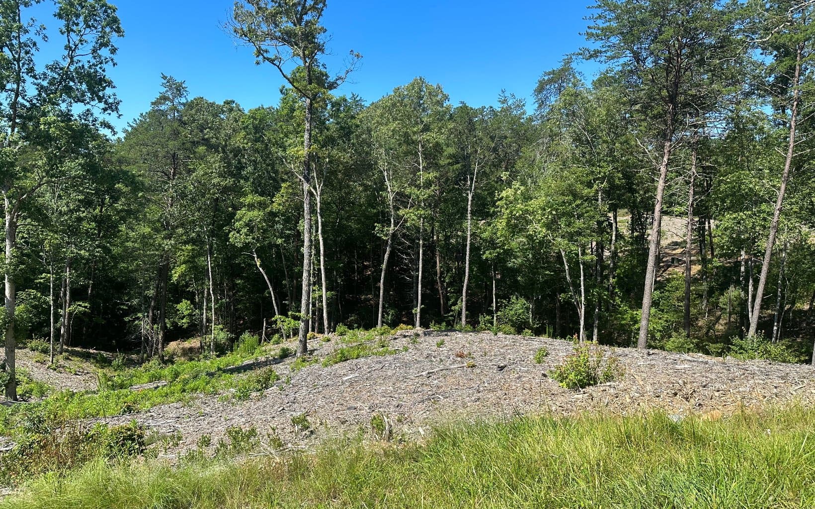 LT12 Mountain Laurel Ridge, Mineral Bluff GA 30559 - Photo
