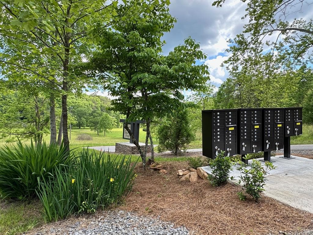 LT12 Mountain Laurel Ridge, Mineral Bluff GA 30559 - Photo