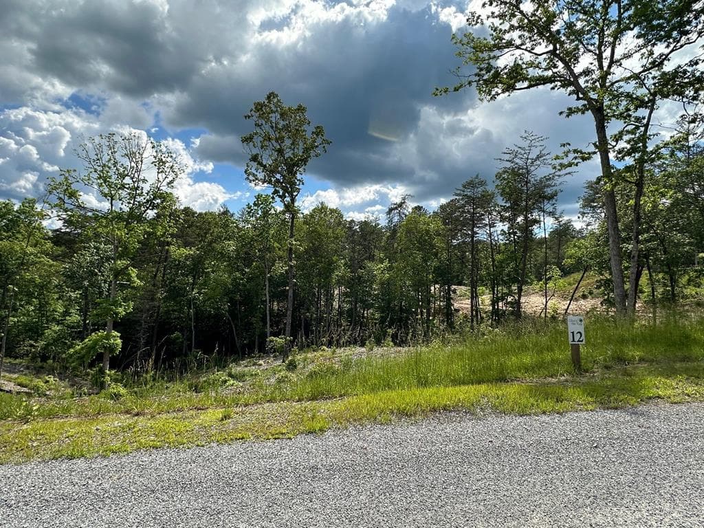LT12 Mountain Laurel Ridge, Mineral Bluff GA 30559 - Photo
