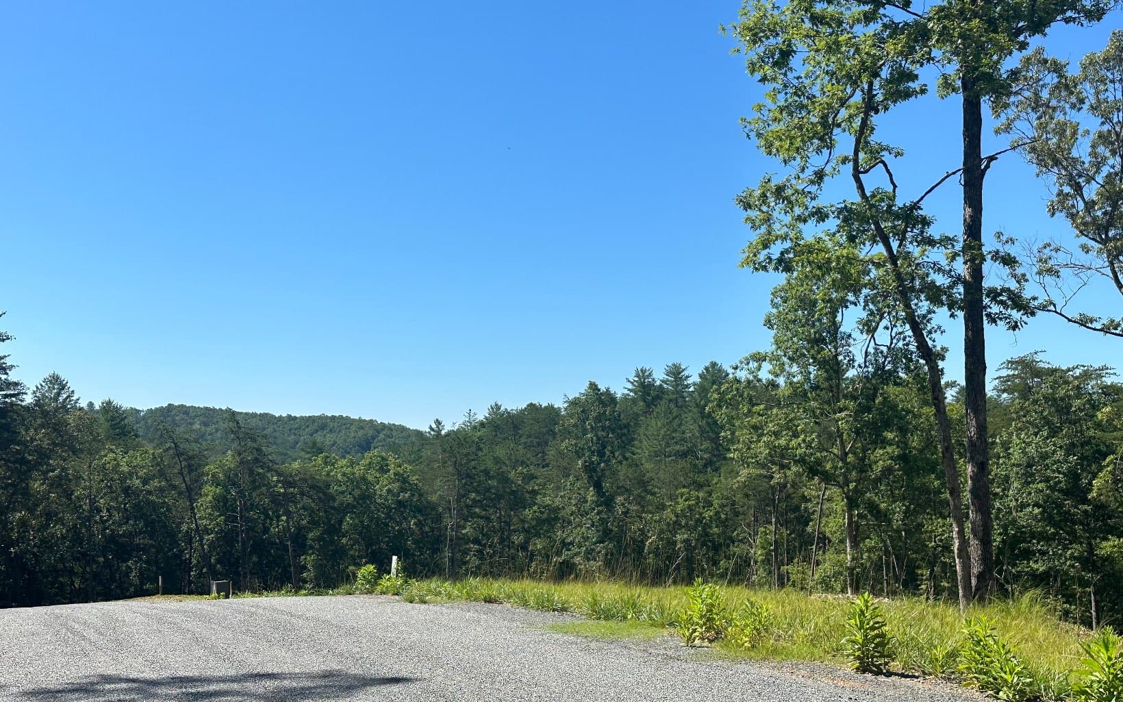 LT12 Mountain Laurel Ridge, Mineral Bluff GA 30559 - Photo