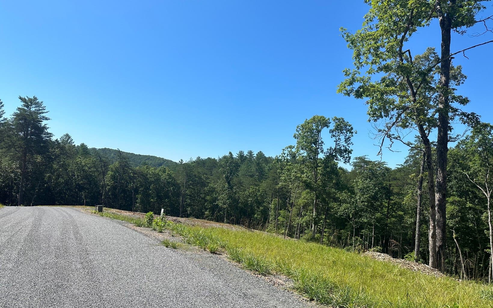 LT12 Mountain Laurel Ridge, Mineral Bluff GA 30559 - Photo