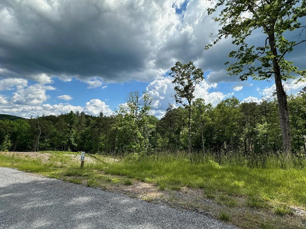 LT12 Mountain Laurel Ridge, Mineral Bluff GA 30559 - Photo