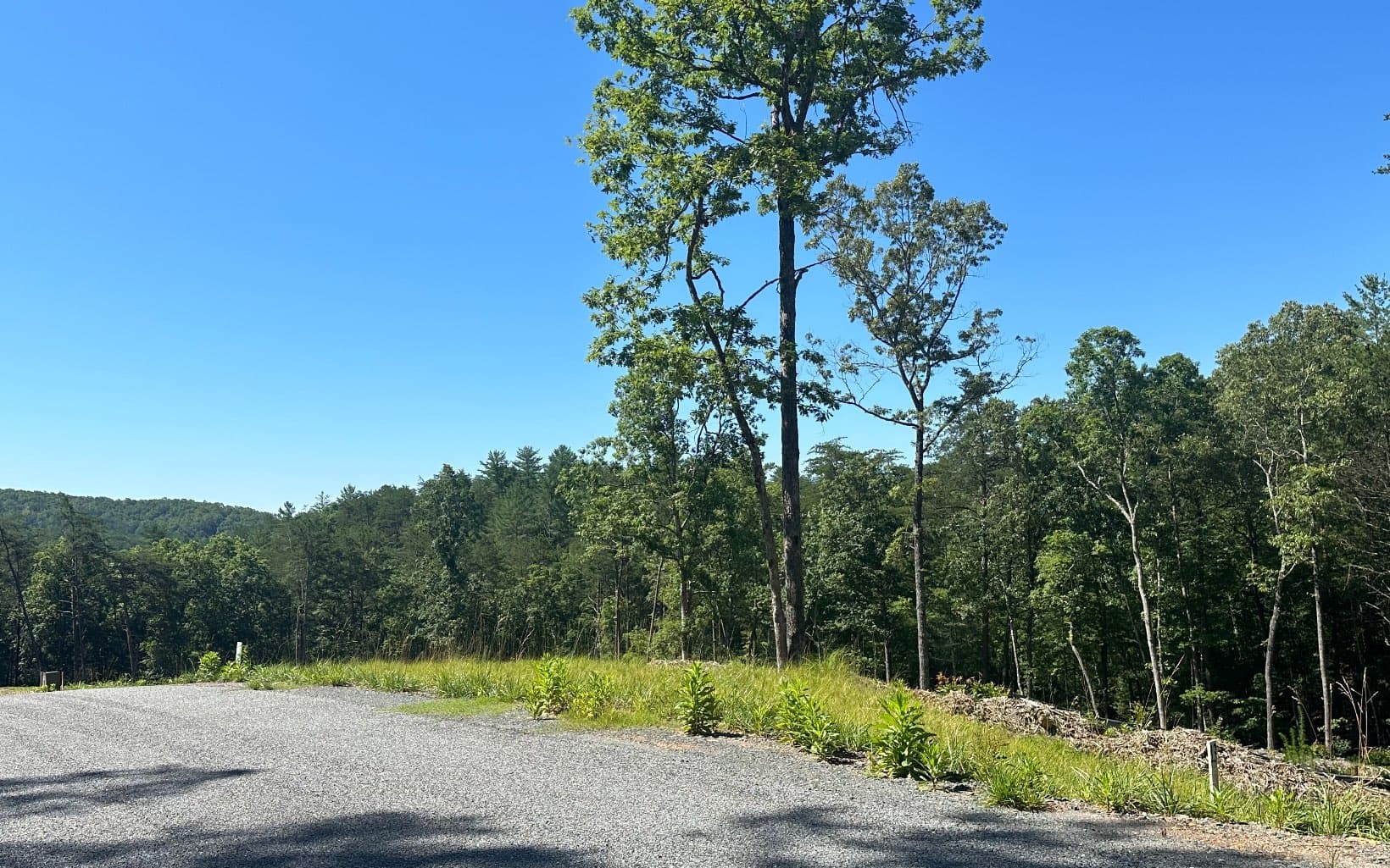 LT12 Mountain Laurel Ridge, Mineral Bluff GA 30559 - Photo
