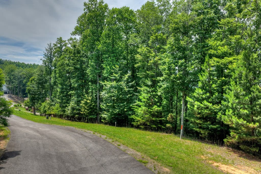 Lot 94 Thirteen Hundred S/D, Blairsville GA 30512 - Photo