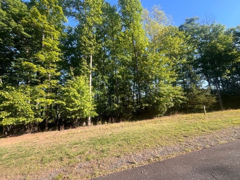 Lot 94 Thirteen Hundred S/D, Blairsville GA 30512 - Photo