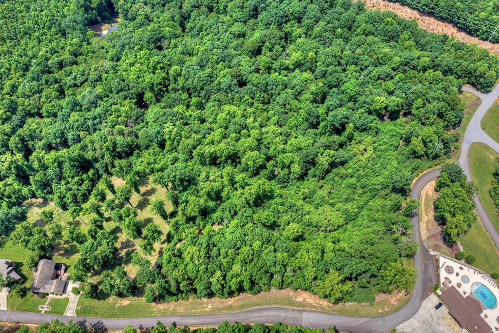 Lot 94 Thirteen Hundred S/D, Blairsville GA 30512 - Photo