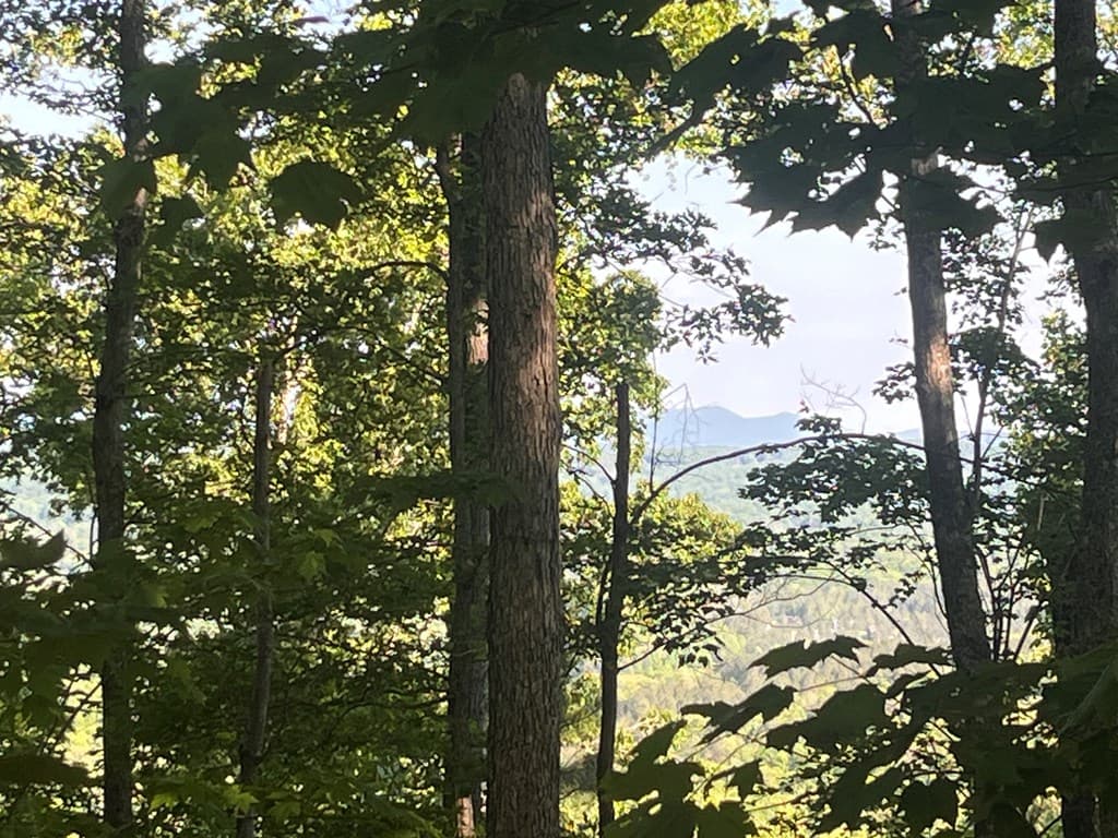 Lot 94 Thirteen Hundred S/D, Blairsville GA 30512 - Photo