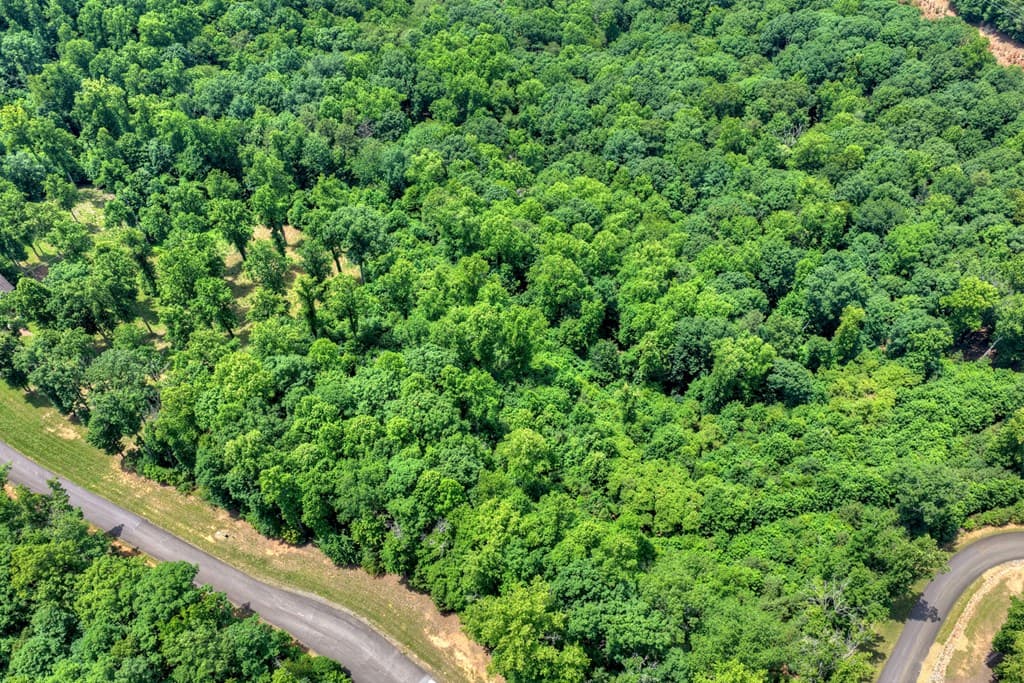 Lot 94 Thirteen Hundred S/D, Blairsville GA 30512 - Photo