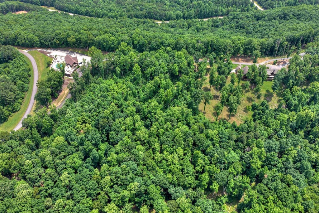 Lot 94 Thirteen Hundred S/D, Blairsville GA 30512 - Photo