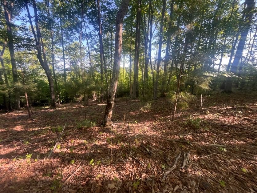 Lot 94 Thirteen Hundred S/D, Blairsville GA 30512 - Photo