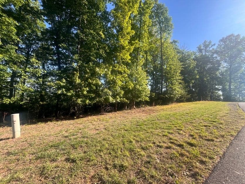 Lot 94 Thirteen Hundred S/D, Blairsville GA 30512 - Photo