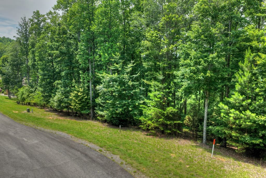 Lot 94 Thirteen Hundred S/D, Blairsville GA 30512 - Photo