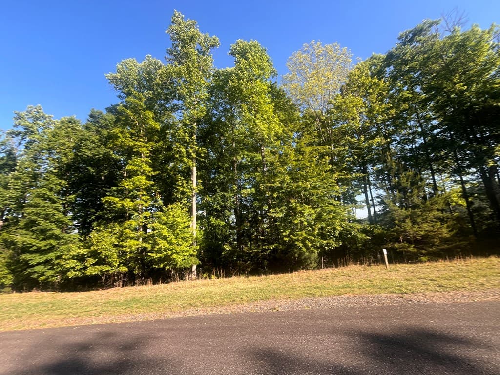 Lot 94 Thirteen Hundred S/D, Blairsville GA 30512 - Photo