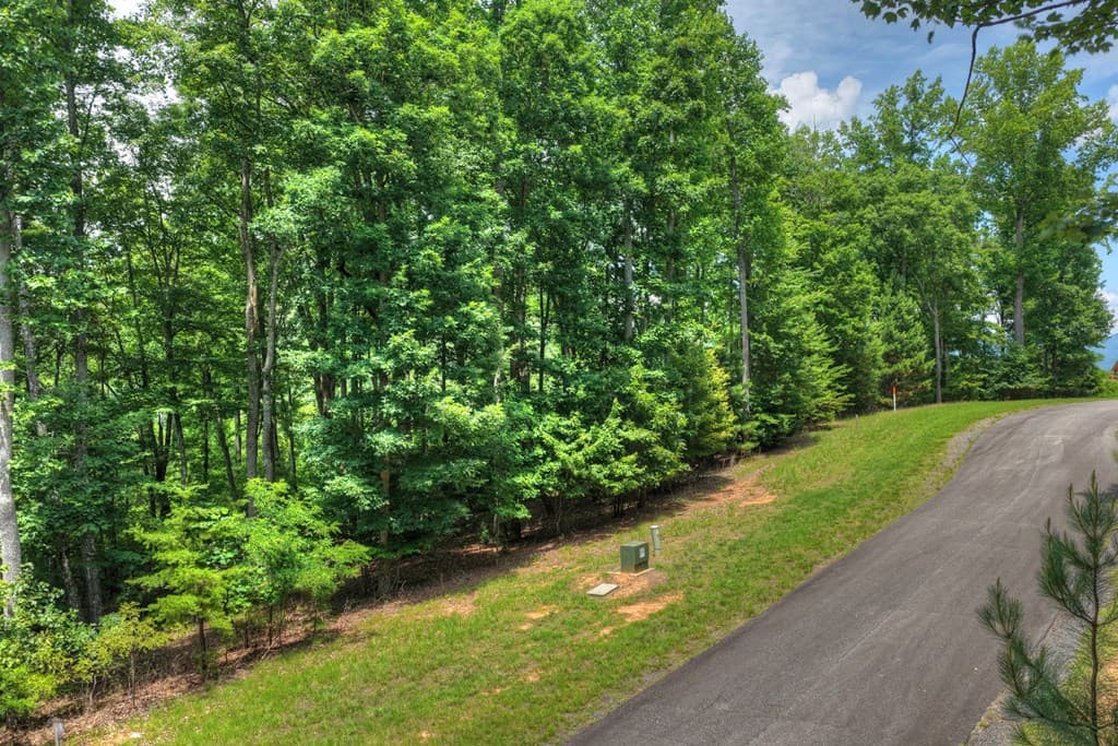 Lot 94 Thirteen Hundred S/D, Blairsville GA 30512 - Photo