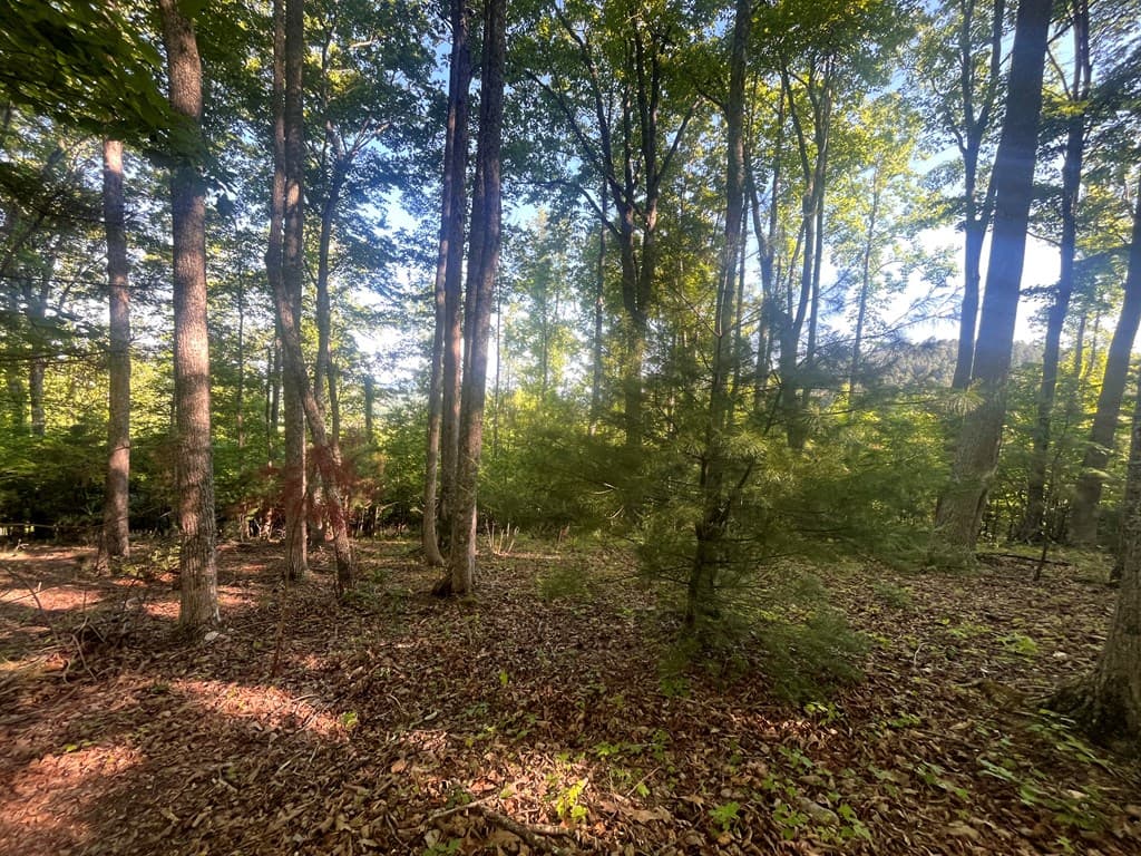 Lot 94 Thirteen Hundred S/D, Blairsville GA 30512 - Photo