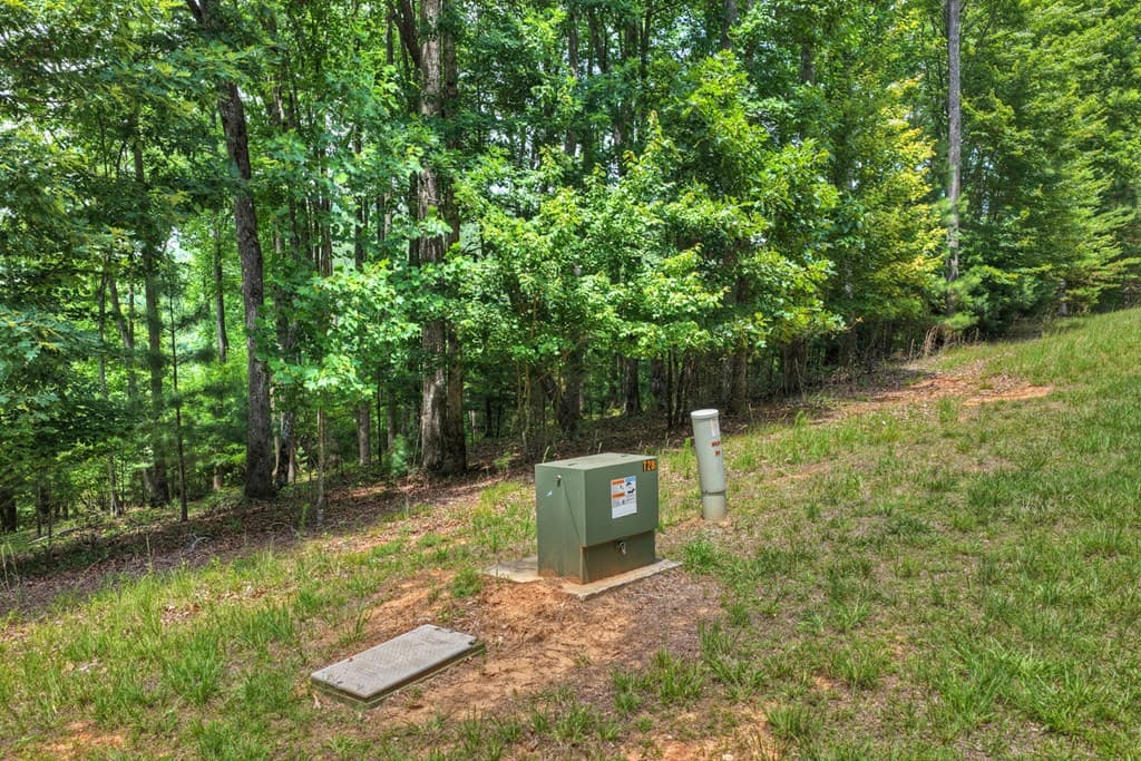 Lot 94 Thirteen Hundred S/D, Blairsville GA 30512 - Photo